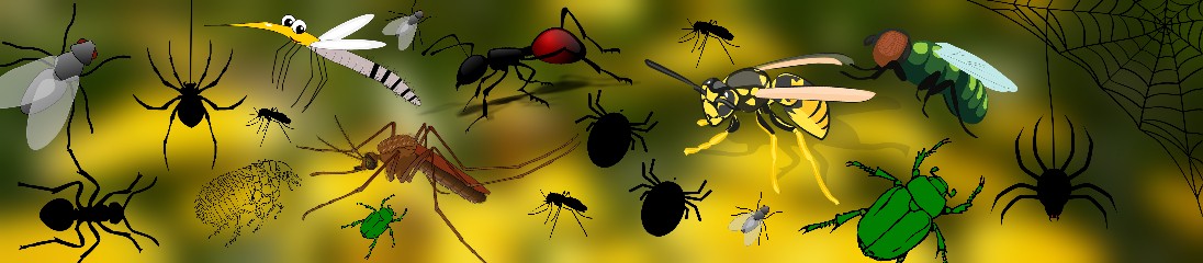 Biocidi per tipo di insetto